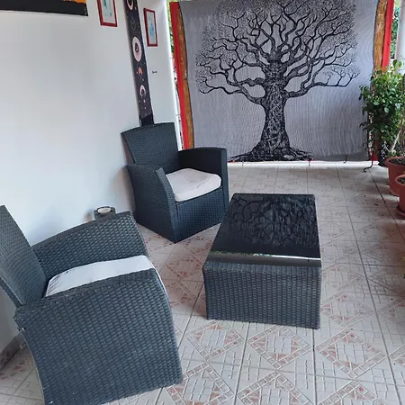 My House - Casa Charme * מונצ'יק