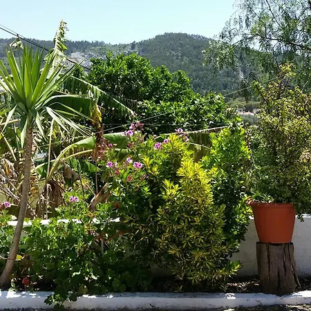 My House - Casa Charme