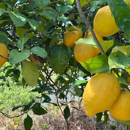 My House - Casa Charme Holiday home