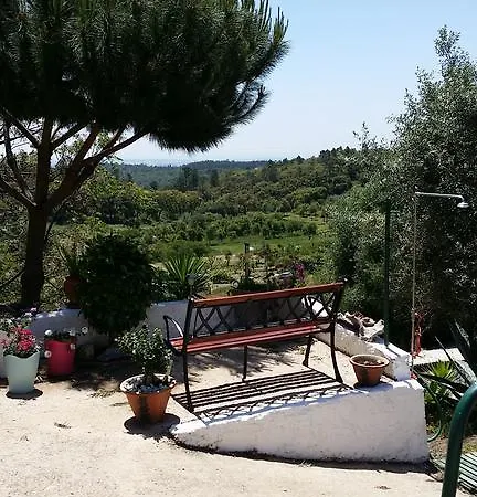 My House - Casa Charme